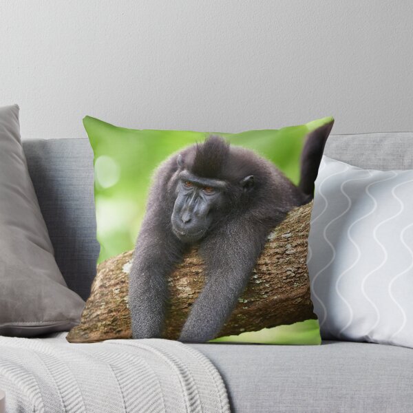 Item preview, Monday Monkey designed and sold by Andrew Walmsley.