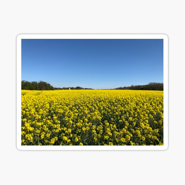 Blau und gelb Sticker