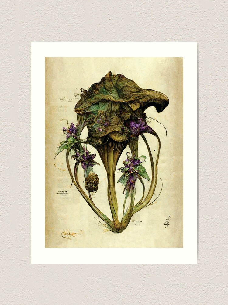 Lámina artística for Sale con la obra «Ilustración botánica de