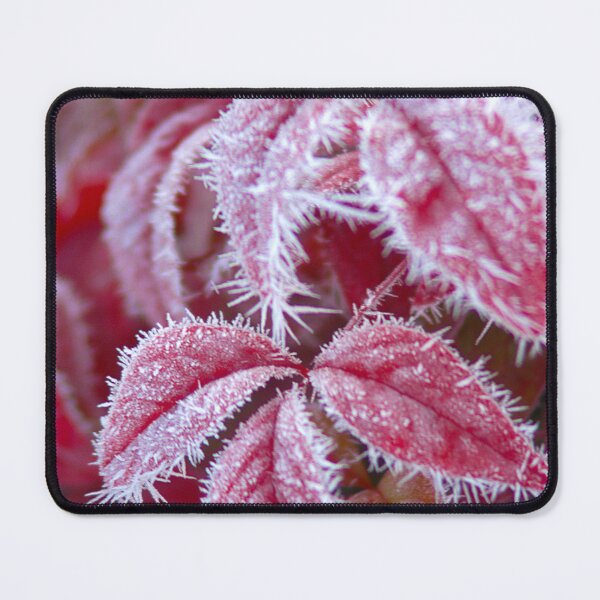 Item preview, Hoarfrost on maple leaves. - WelshDesigns designed and sold by welshdesigns.
