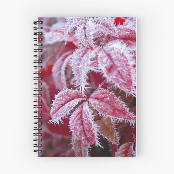 Item preview, Hoarfrost on maple leaves. - WelshDesigns designed and sold by welshdesigns.