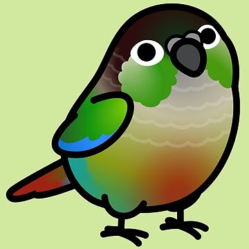Artwork thumbnail, Chubby Green Cheek Conure by birdhism