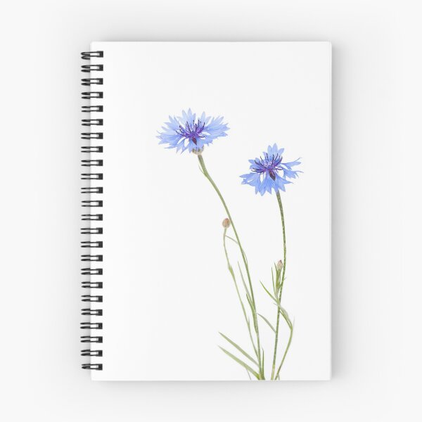 Item preview, Two blue cornflower flowers  designed and sold by Arletta Cwalina.