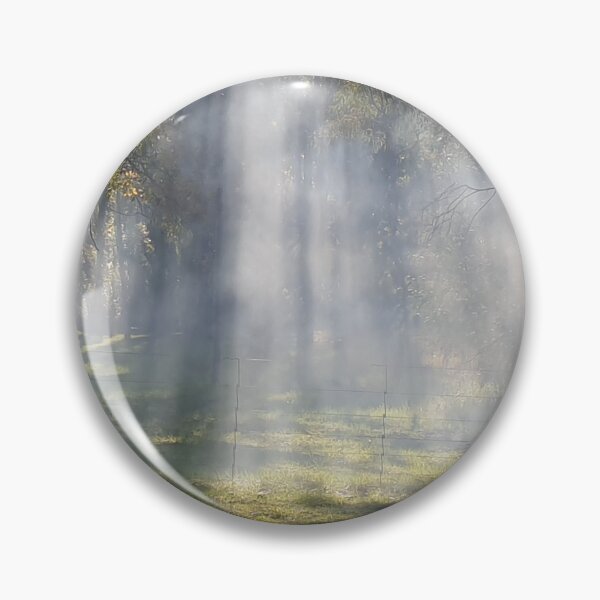 Item preview, Sunlight through the gum trees. designed and sold by WhoRayShirts.