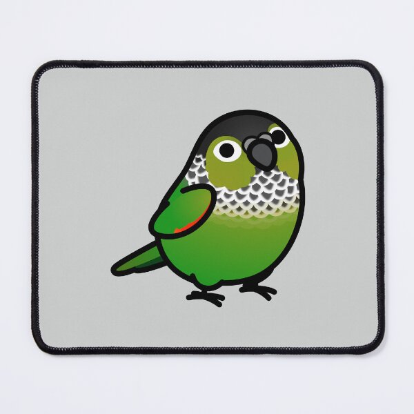 Item preview, Chubby Black-capped Conure designed and sold by birdhism.
