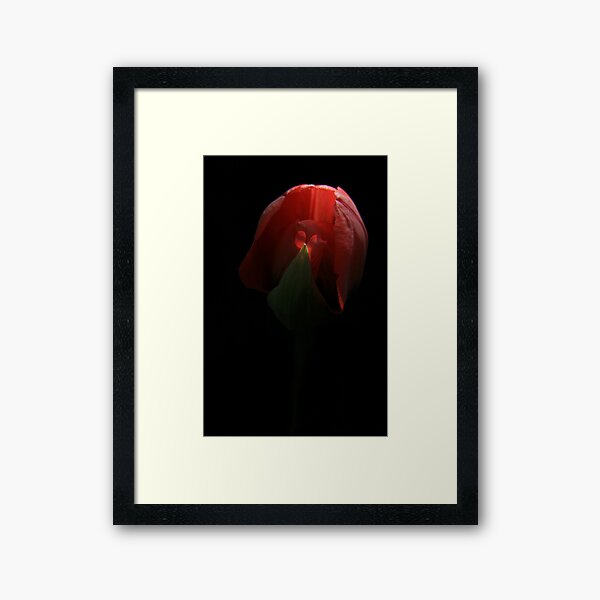 Reveal Framed Art Print