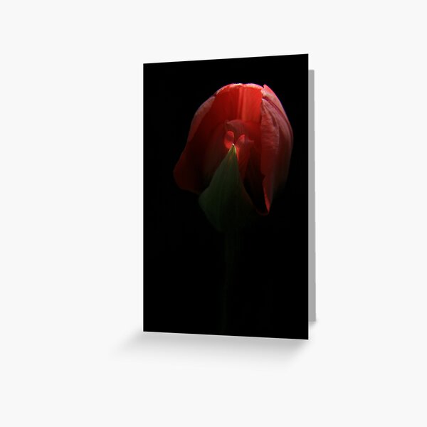 Reveal Greeting Card
