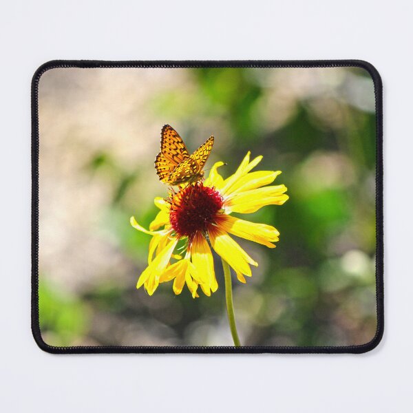 Item preview, Butterfly on a Sunflower designed and sold by Alex Baron.