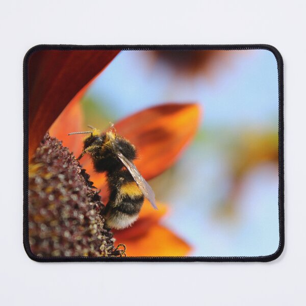Item preview, Bumble Bee on a Red Sunflower designed and sold by Moti Black.
