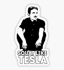Tesla Squating Sticker
