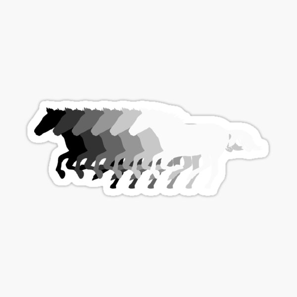 Horses Galloping Greystyle Sticker