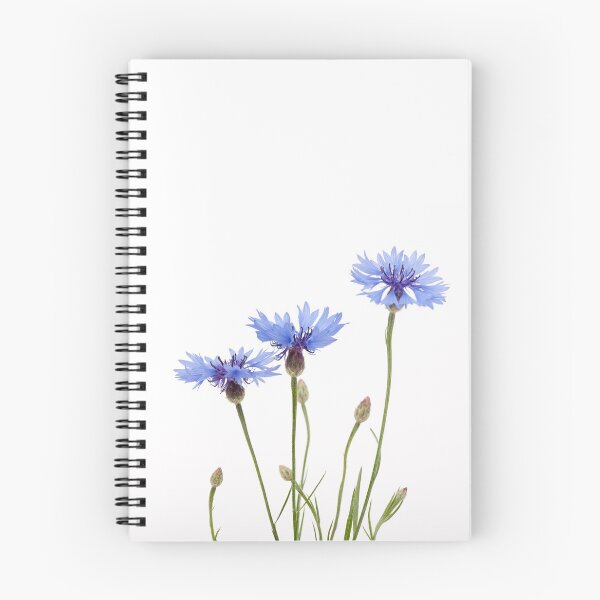 Item preview, Three blue cornflower flowers designed and sold by Arletta Cwalina.