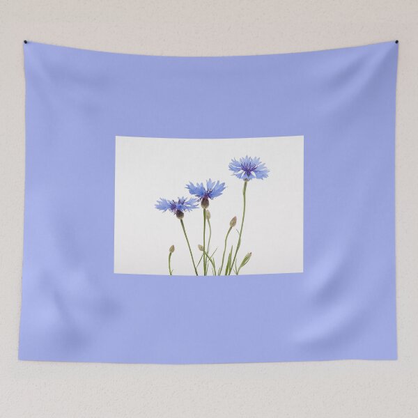 Item preview, Three blue cornflower flowers designed and sold by Arletta Cwalina.