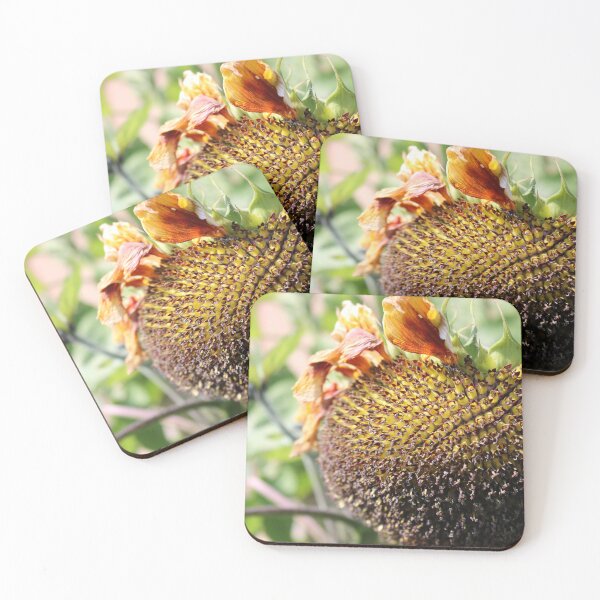 Item preview, Late Cycle Sunflower Head designed and sold by Moti Black.