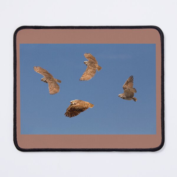 Item preview, Flight Of The Burrowing Owls designed and sold by CarolM.