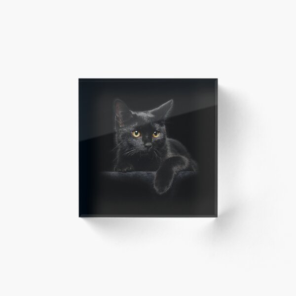 Black Cat Acrylic Block