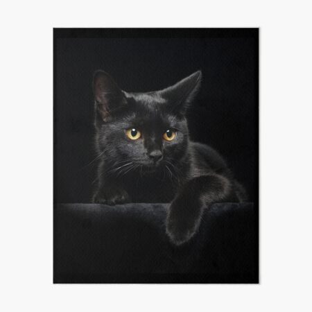 Black Cat Art Board Print