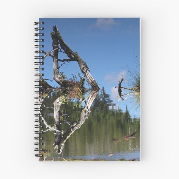 Item preview, Tree of life - reflection - LiliFlore - Landscape designed and sold by liliflore.