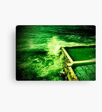ocean swimmers bondi Canvas Print