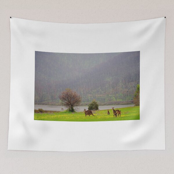 Item preview, Kangaroos in the Valley designed and sold by D-GaP.