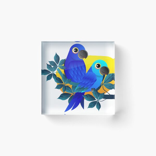 Item preview,  of 08 Quaker Parrot (Blue Mutation) designed and sold by SUNDigital123.