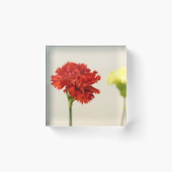 Item preview, clavel  designed and sold by karlosss.