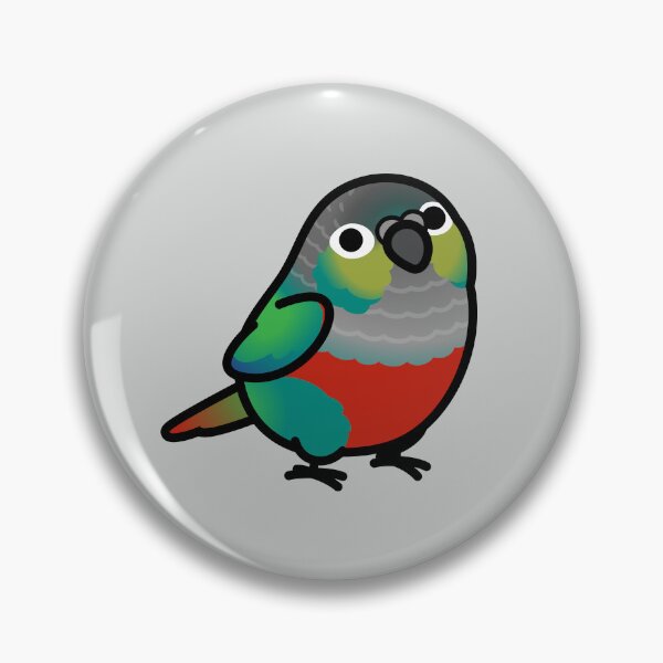 Item preview, Chubby Crimson-bellied Conure designed and sold by birdhism.
