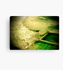 rock pool and wave Canvas Print