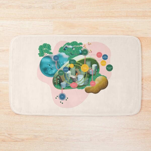 Item preview, Photosynthesis Chloroplast Illustration designed and sold by Queenlardcake.