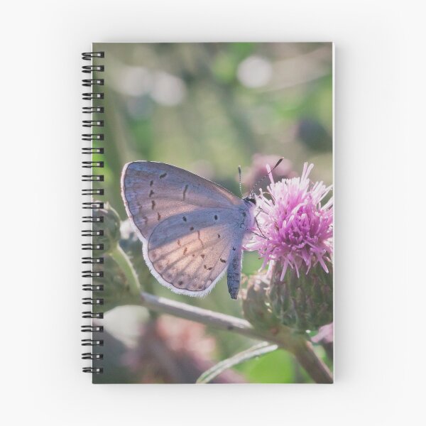 Item preview, The Spring Azure designed and sold by dlamb.