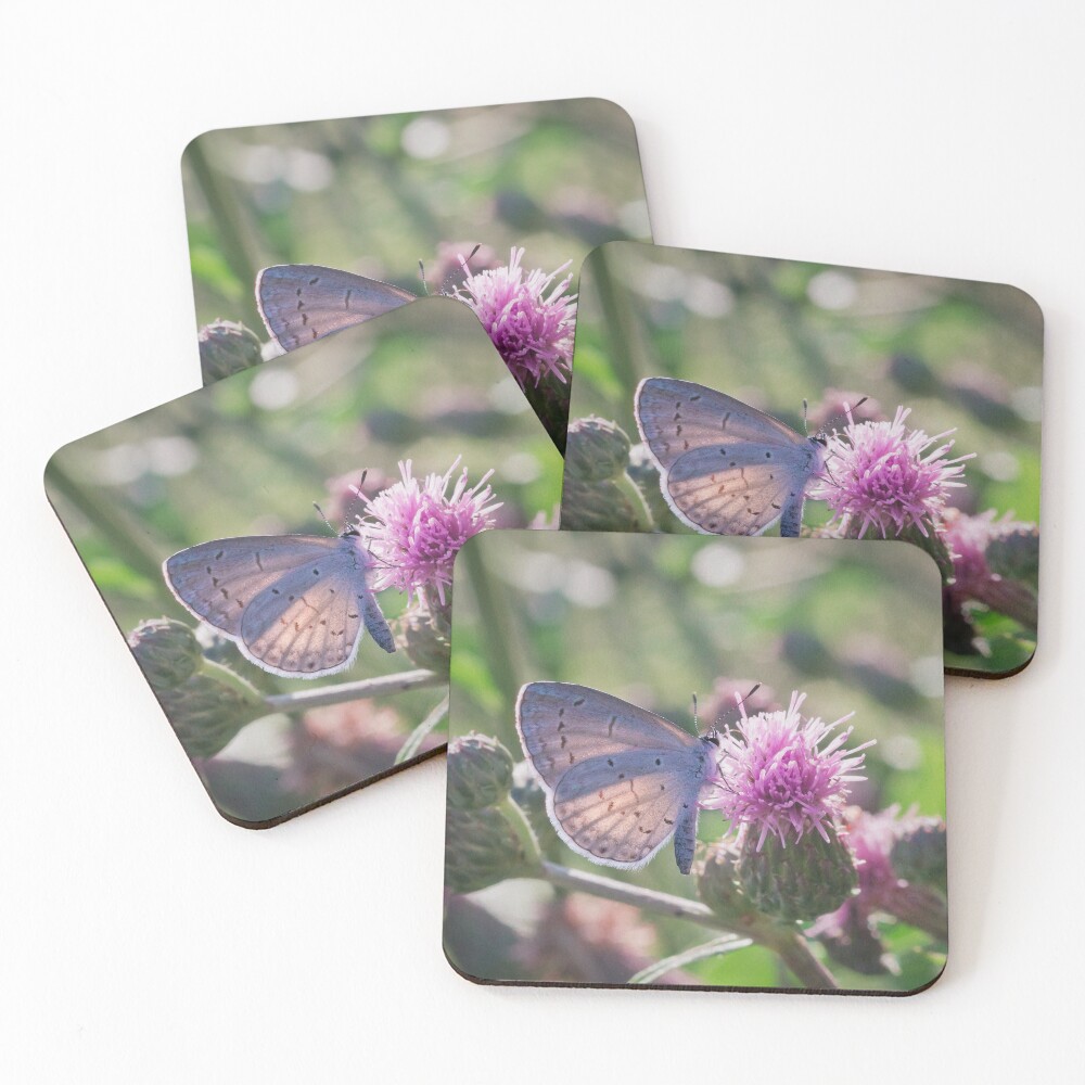 Item preview, Coasters (Set of 4) designed and sold by dlamb.