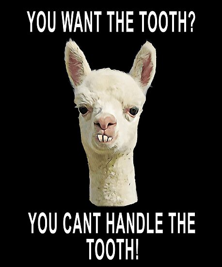 buck tooth llama