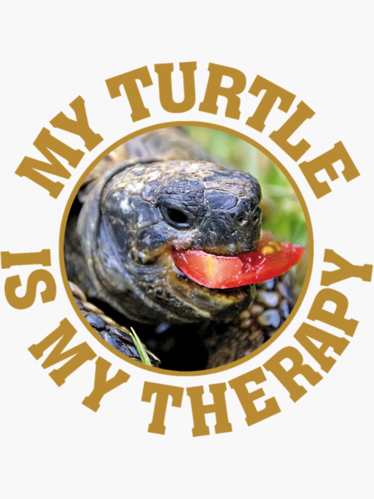 "My Turtle is my Therapy" Sticker for Sale by EtnoVyshyvanka Redbubble