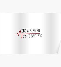 It's a Beautiful Day to Save Lives Grey's Quote Poster