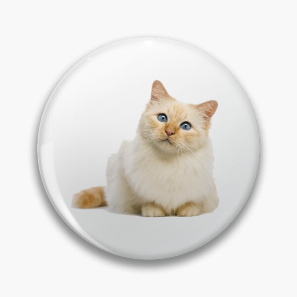 Item preview, Cat Cute designed and sold by Design-Busuk.