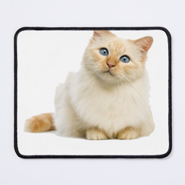 Item preview, Cat Cute designed and sold by Design-Busuk.
