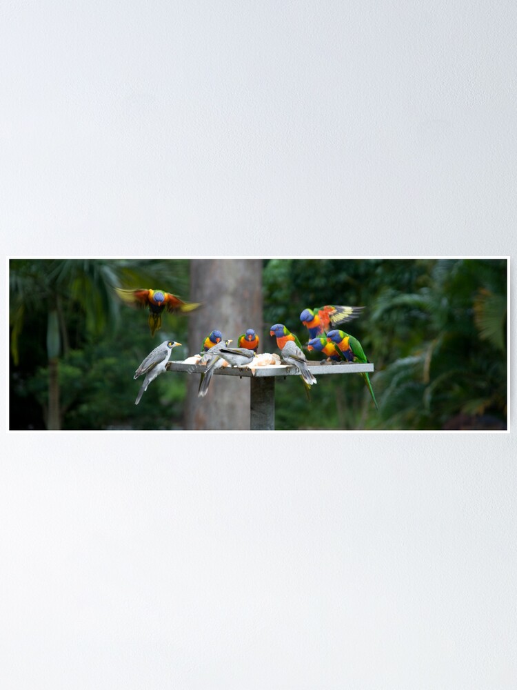 Alternate view of The Birds Poster