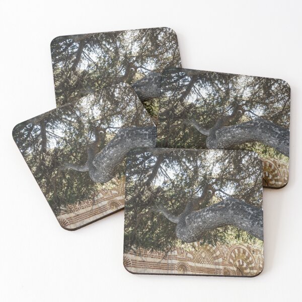 Item preview, Church of St John Aliturgetos - Gnarly Pine Tree and Intricate Byzantine Facade designed and sold by Georgia Mizuleva.