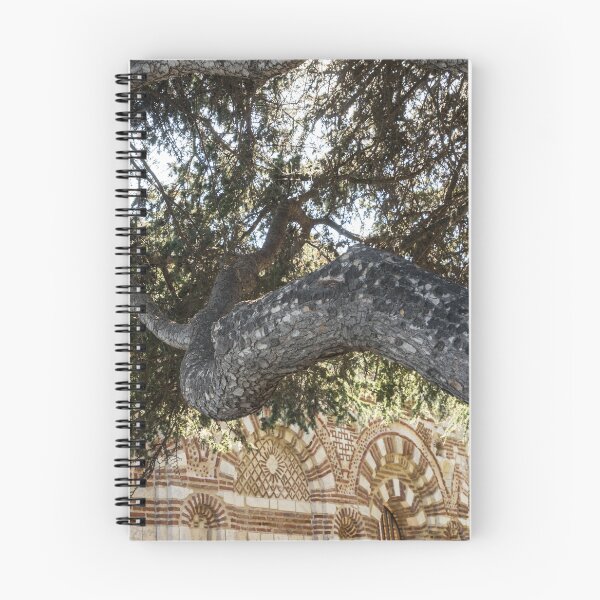 Item preview, Church of St John Aliturgetos - Gnarly Pine Tree and Intricate Byzantine Facade designed and sold by Georgia Mizuleva.