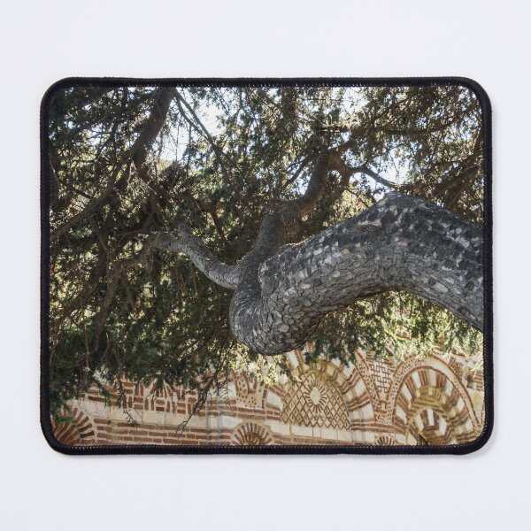 Item preview, Church of St John Aliturgetos - Gnarly Pine Tree and Intricate Byzantine Facade designed and sold by Georgia Mizuleva.