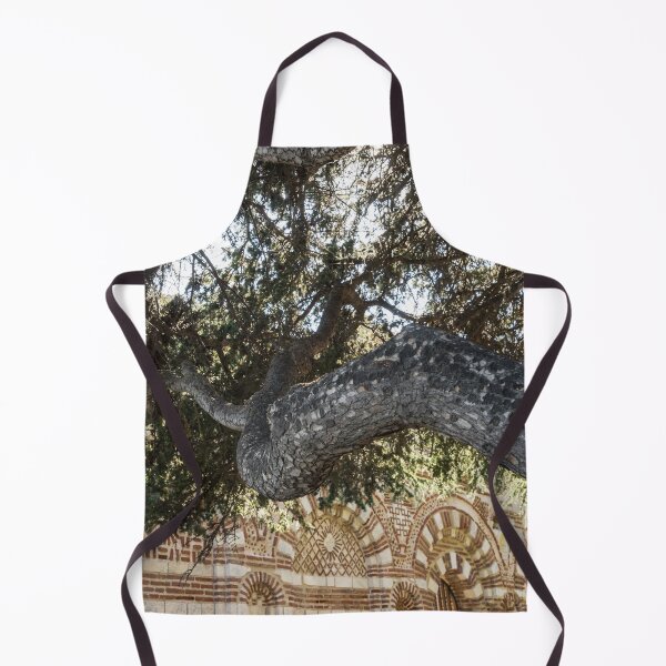 Item preview, Church of St John Aliturgetos - Gnarly Pine Tree and Intricate Byzantine Facade designed and sold by Georgia Mizuleva.