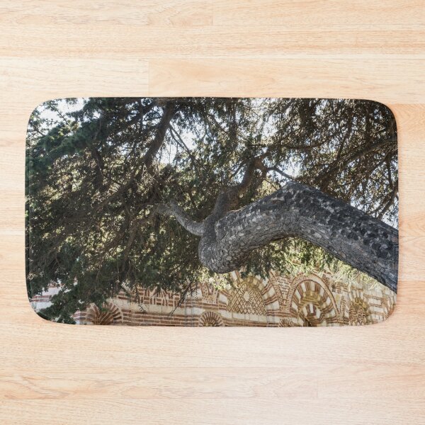 Item preview, Church of St John Aliturgetos - Gnarly Pine Tree and Intricate Byzantine Facade designed and sold by Georgia Mizuleva.