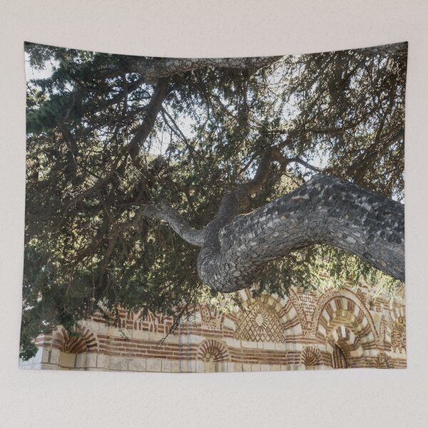Item preview, Church of St John Aliturgetos - Gnarly Pine Tree and Intricate Byzantine Facade designed and sold by Georgia Mizuleva.