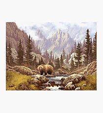 Lámina fotográfica Paisaje del oso Grizzly
