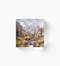 Grizzlybär Landschaft Acrylblock