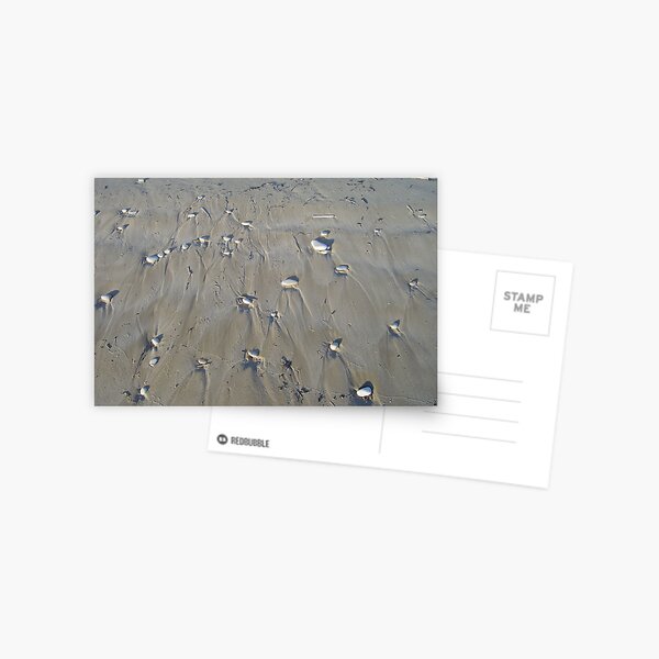 Wet sand Postkarte