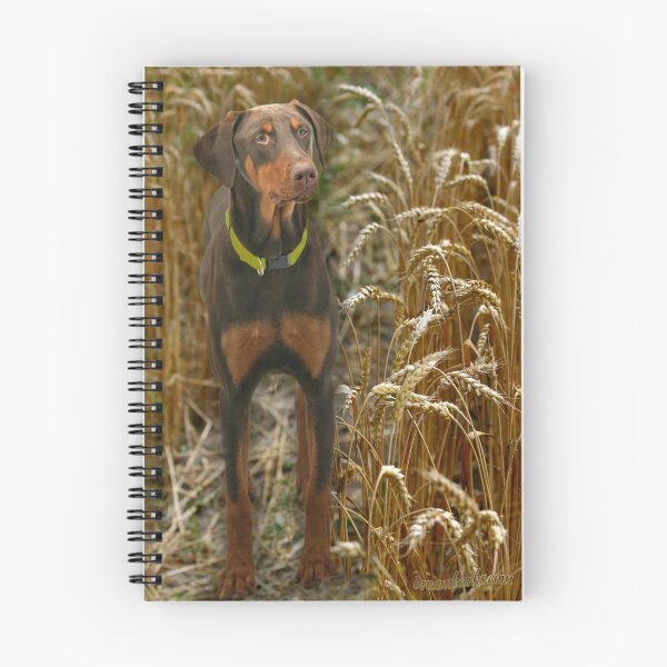 Item preview, Doberman in Wheat Field designed and sold by Dreambarks.