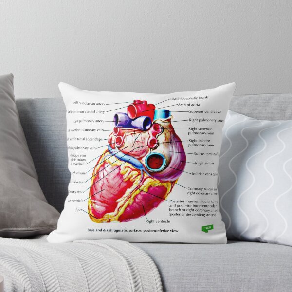 Item preview, Heart Diagram #1 designed and sold by Momo-Stores.