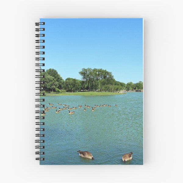 Item preview, Washington Monument With Water And Ducks designed and sold by Cora Wandel.