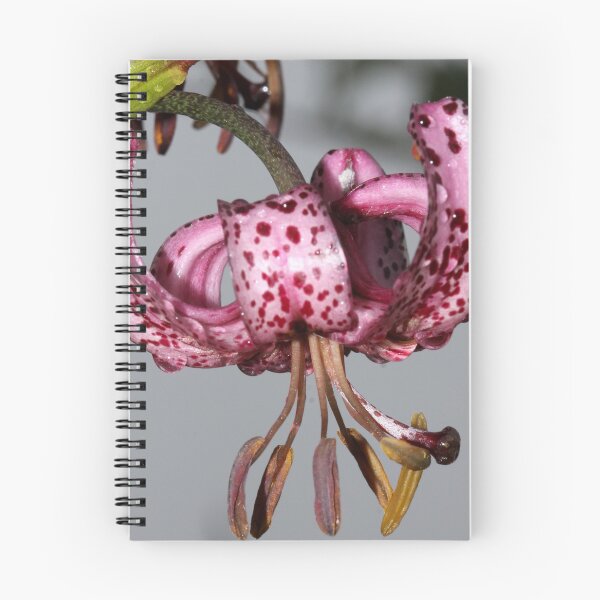 Item preview, Martagon lily designed and sold by cuprum.